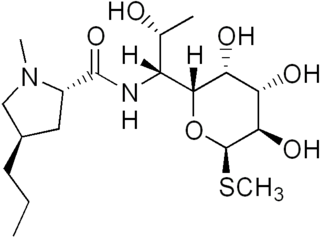 Lincosamides group of antibiotics