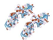 PDB 2g94 EBI.jpg