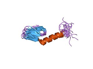 <span class="mw-page-title-main">Class II bacteriocin</span>