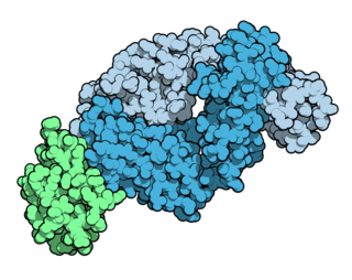 <span class="mw-page-title-main">Tralokinumab</span> Monoclonal antibody