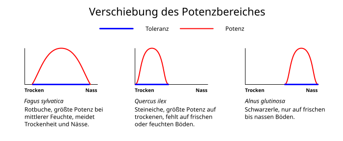 Grafik der Verschiebung des Potenzbereichs