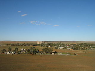 <span class="mw-page-title-main">County of Dalhousie (South Australia)</span> Cadastral in South Australia