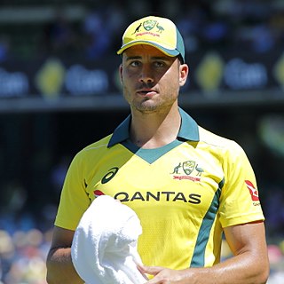 <span class="mw-page-title-main">Marcus Stoinis</span> Australian cricketer