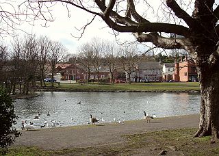 <span class="mw-page-title-main">Askern</span> Town and civil parish in South Yorkshire, England