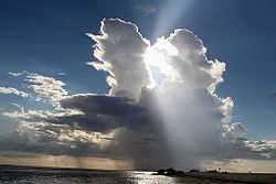 Awan kumulonimbus (jenis kalvus)