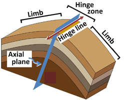 Fold terminology. For more general fold shapes, a hinge curve replaces the hinge line, and a non-planar axial surface replaces the axial plane.