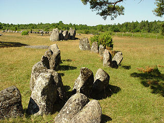 <span class="mw-page-title-main">Alskog</span> Place in Gotland, Sweden