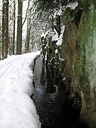 Grüner Graben