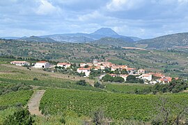 Montner, with the Pic de Bugarach in the background