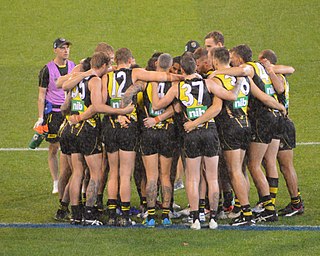 <span class="mw-page-title-main">2019 Richmond Football Club season</span> Australian rules football club season