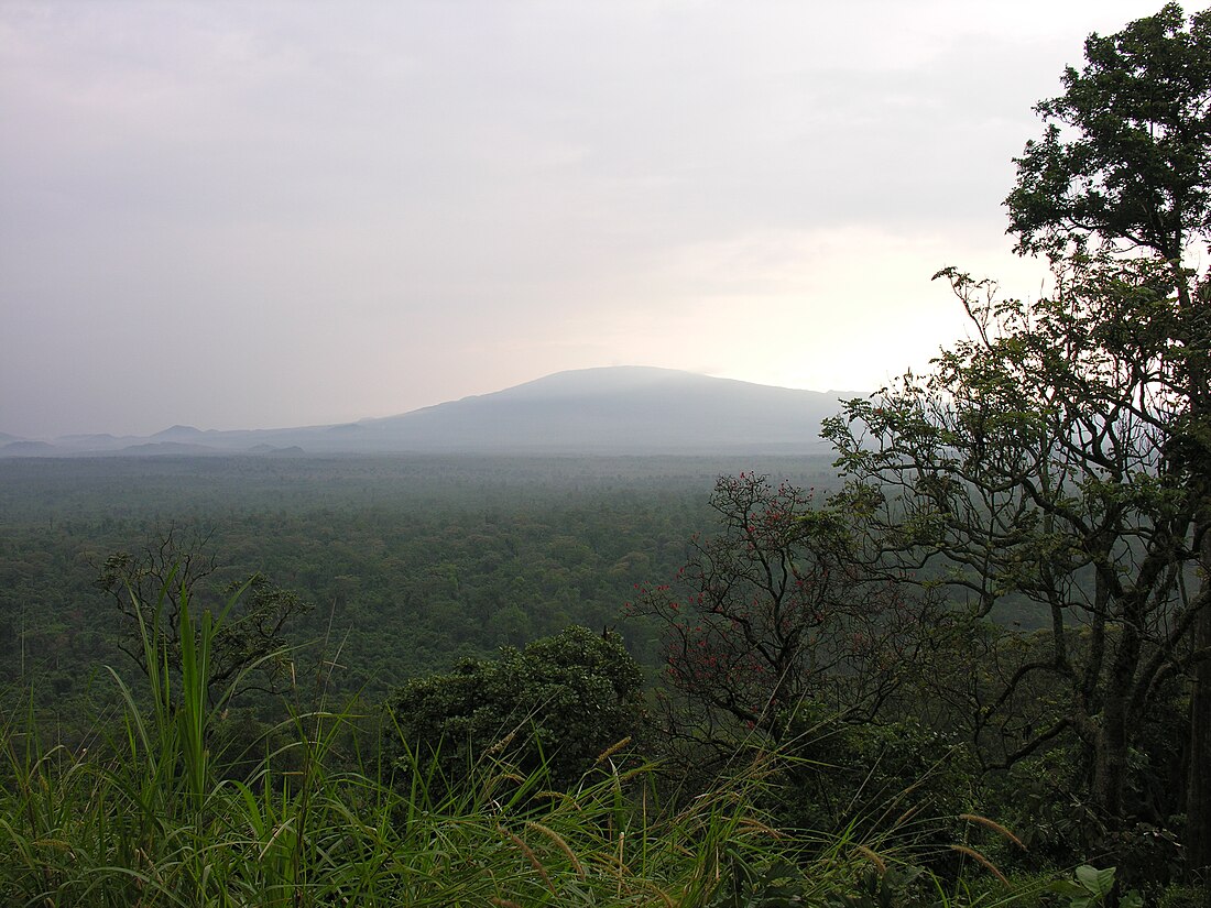 Virunga National Park