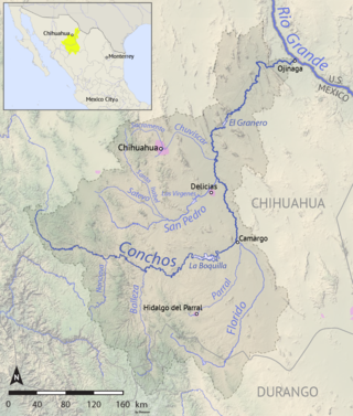 <span class="mw-page-title-main">Rio Conchos</span> River in the Mexican state of Chihuahua