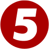 5logo