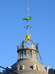 Cotorra del Mercat (València)