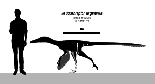 <i>Neuquenraptor</i> Extinct genus of dinosaurs