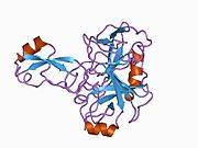 PDB 1brc EBI.jpg