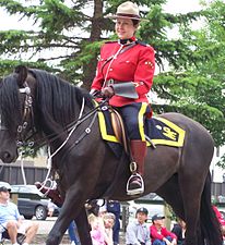 RCMP officer on a horse.JPG