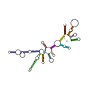 Vorschaubild für Ribosomale RNA