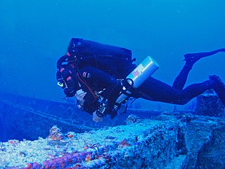 <span class="mw-page-title-main">Tom Mount</span> Pioneering technical and cave diver (1939–2022)