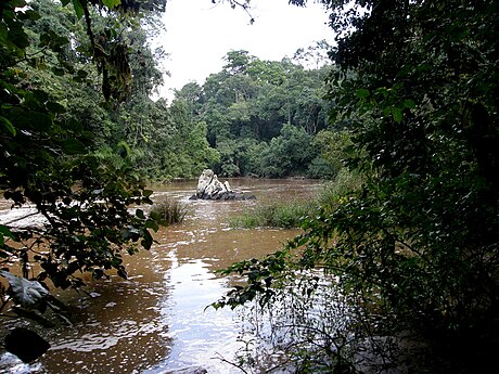 La rivière Yala