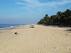 Alappuzha beach during sunset