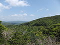 網野子峠