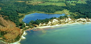 Black Pond Wildlife Management Area