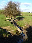 Brook from Llandyssil Bridge