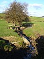 Brook from Llandyssil Bridge - geograph.org.uk - 612383