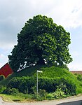 Gravhögen vid Evessen, Landkreis Wolfenbüttel.