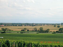 A general view of Gundolsheim