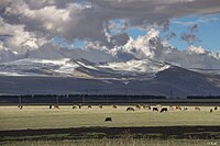 Javakheti National Park.jpg