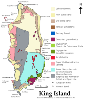 Lavinia State Reserve Protected area & Ramsar site in Australia