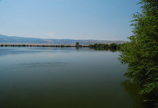 <span class="mw-page-title-main">Idaho County, Idaho</span> County in Idaho, United States