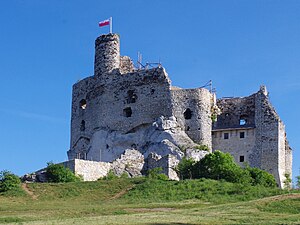 Zamek od południa