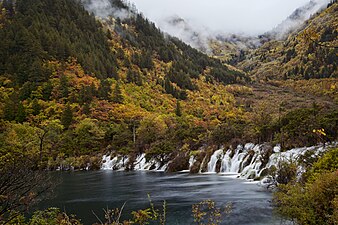 四川九寨溝風景名勝區于1992年被联合国教科文组织列為世界遺產[813]。图为九寨沟的卧龙海