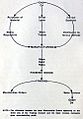 Operations of a Factory System, 1913/19