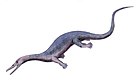 Askeptosaurus BW.jpg