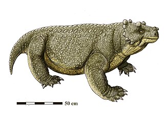 <i>Bunostegos</i> Genus of reptiles (fossil)