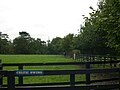 Celtic Swing in retirement at the Irish National Stud