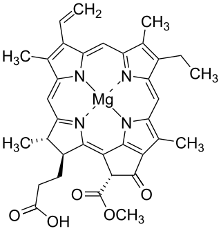 <span class="mw-page-title-main">Chlorophyllide</span> Chemical compound