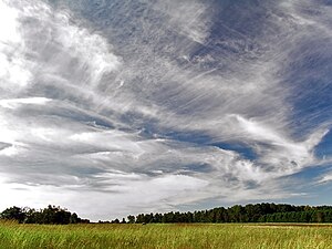 Cirrus cloud