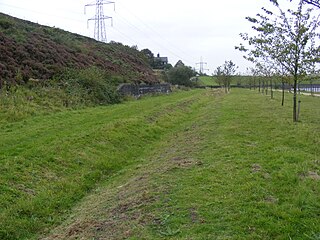 <span class="mw-page-title-main">Crowden railway station</span> Former railway station in Derbyshire, England