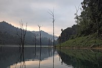 Early morning on Cheow Lan Lake.