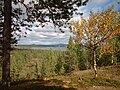 Landschaft bei Salla