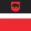 Drapeau de Łęczna