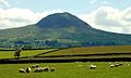 Slemish from Buckna