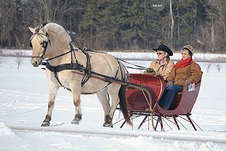 <span class="mw-page-title-main">Sled</span> Land vehicle used for sliding across snow or ice