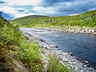 <span class="mw-page-title-main">Tana (Norway)</span> River in Norway, Finland