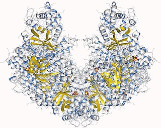 <span class="mw-page-title-main">Fructose-bisphosphate aldolase</span>